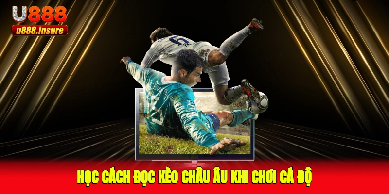 Học cách đọc kèo châu Âu khi chơi cá độ